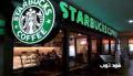 كافيه ستاربكس |coffee Starbucks